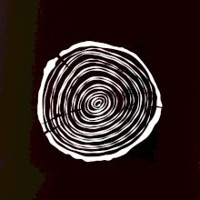 Letokruhy 15 bez veku