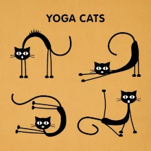 Mačacie jóga (Hana-creative)