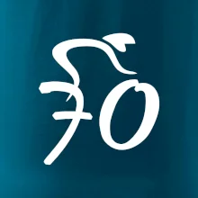 Cyklista oslavuje sedemdesiatku (70)