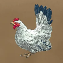 Sliepka kreslená biela