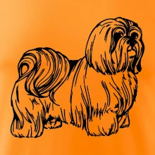 Shih-tzu - chlpatý Shih-tzu - chlpatý
