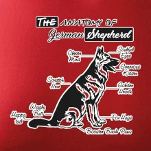 Nemecký ovčiak - Anatómia Nemecký ovčiak - Anatómia