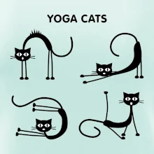 Mačacie jóga (Hana-creative) Mačacie jóga (Hana-creative)