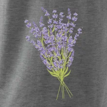 Levanduľa kreslená Levanduľa kreslená