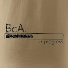 In progress titul BcA. bakalár / bakalárka umenia