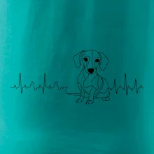 EKG krivka jazvečík