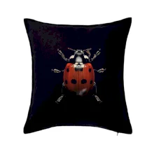 Lienka za zhora čierna fotka