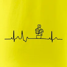 EKG Filodendron EKG Filodendron