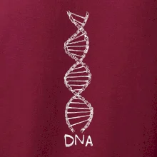 Cyklistovo DNA
