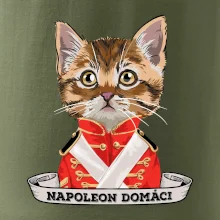 Napoleon domáci mačka