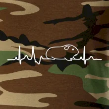 EKG morča EKG morča