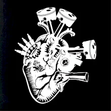 Vodičovo srdce Vodičovo srdce