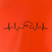 Labradorský retriever‎ EKG