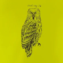 Sova bradatá Barred owl Sova bradatá Barred owl