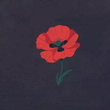 Vlčí mak kreslený veľký