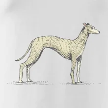 Vintage Whippet