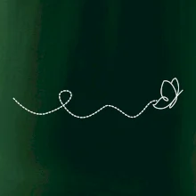 Dráha letu motýľa - vlnovka