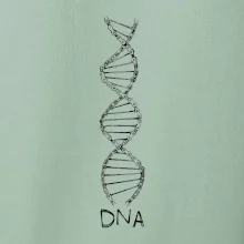 Cyklistovo DNA