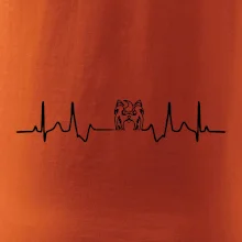 Shih-tzu ekg hlava