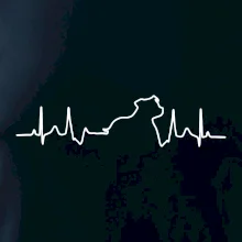 Stafordšírsky bulteriér ‎ EKG