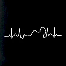 Shih-tzu ekg obrys Shih-tzu ekg obrys