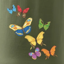 Farebné motýle Farebné motýle