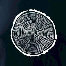 Letokruhy 40 bez veku