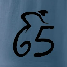 Cyklista oslavuje šesťdesiatpäťku (65)