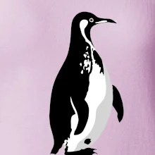 Tučniak čiernobiely z boku