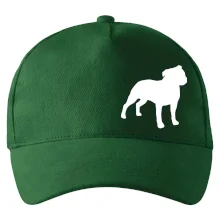 Americký stafordšírsky teriér Na prsníku