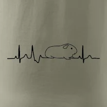 EKG morča EKG morča
