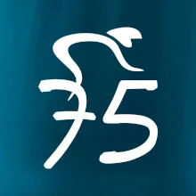 Cyklista oslavuje sedemdesiatpäťpäťky (75)