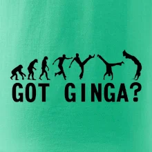 Capoeira - Got Ginga