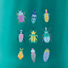 Farebné chrobáky (studio-arte.cz)