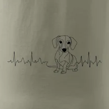 EKG krivka jazvečík