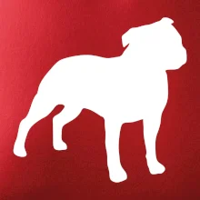 Americký stafordšírsky teriér Na prsníku Americký stafordšírsky teriér Na prsníku