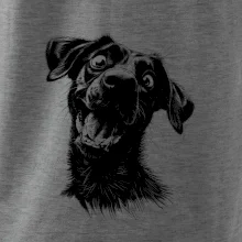 Čiernobiela karikatúra Labrador tmavý