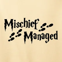 Harry - Mischief Managed