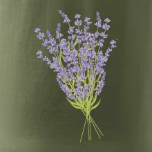 Levanduľa kreslená Levanduľa kreslená