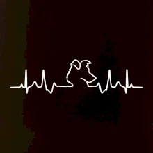 Borderská kólia EKG