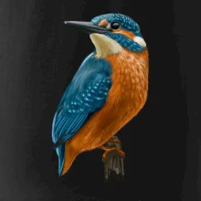 Ľadnáčik kreslený