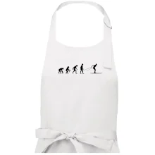 Evolúcia behu - bežky Evolúcia behu - bežky