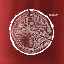 50 rokov - Letokruhy