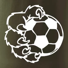 Medvedia laba futbal