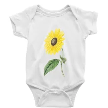 Slnečnica otočená