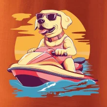 Zlatý retriever na vodnom skútri