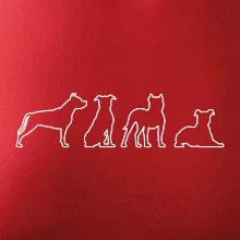 Americký stafordšírsky teriér v rôznych pozíciách