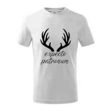 Harry - Expecto patronum Harry - Expecto patronum