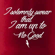 I solemnly swear that I'm up to no good