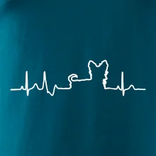 Yorkshirský teriér EKG Yorkshirský teriér EKG
